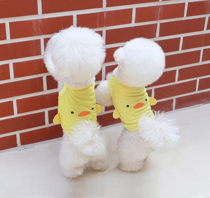 LINE_NOTE_260213_1