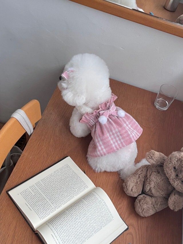 LINE_NOTE_260213_34