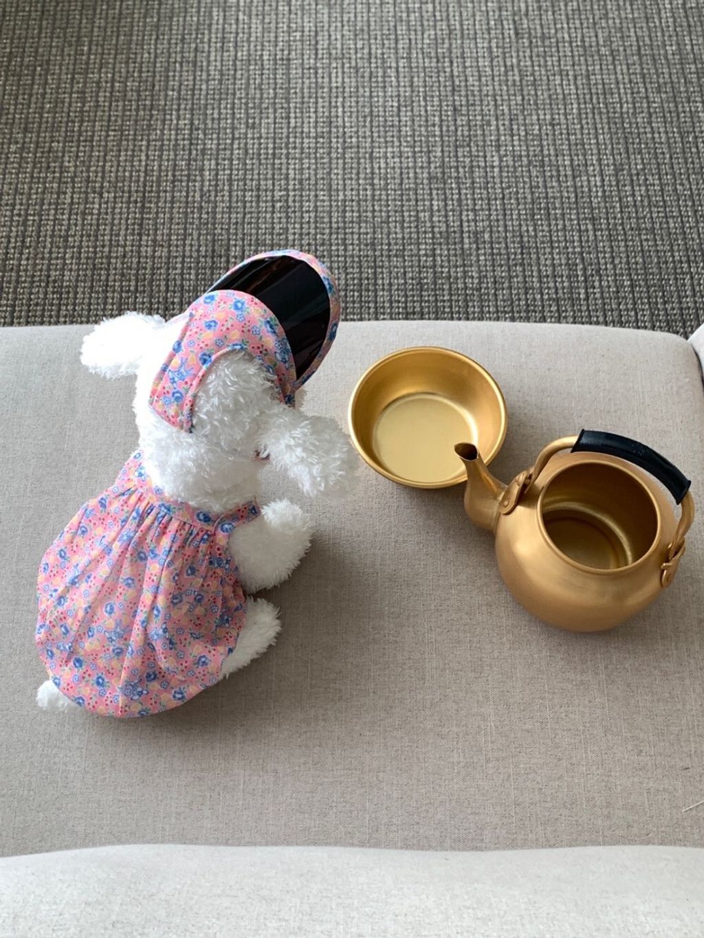 LINE_ALBUM_Petmood_260213_12