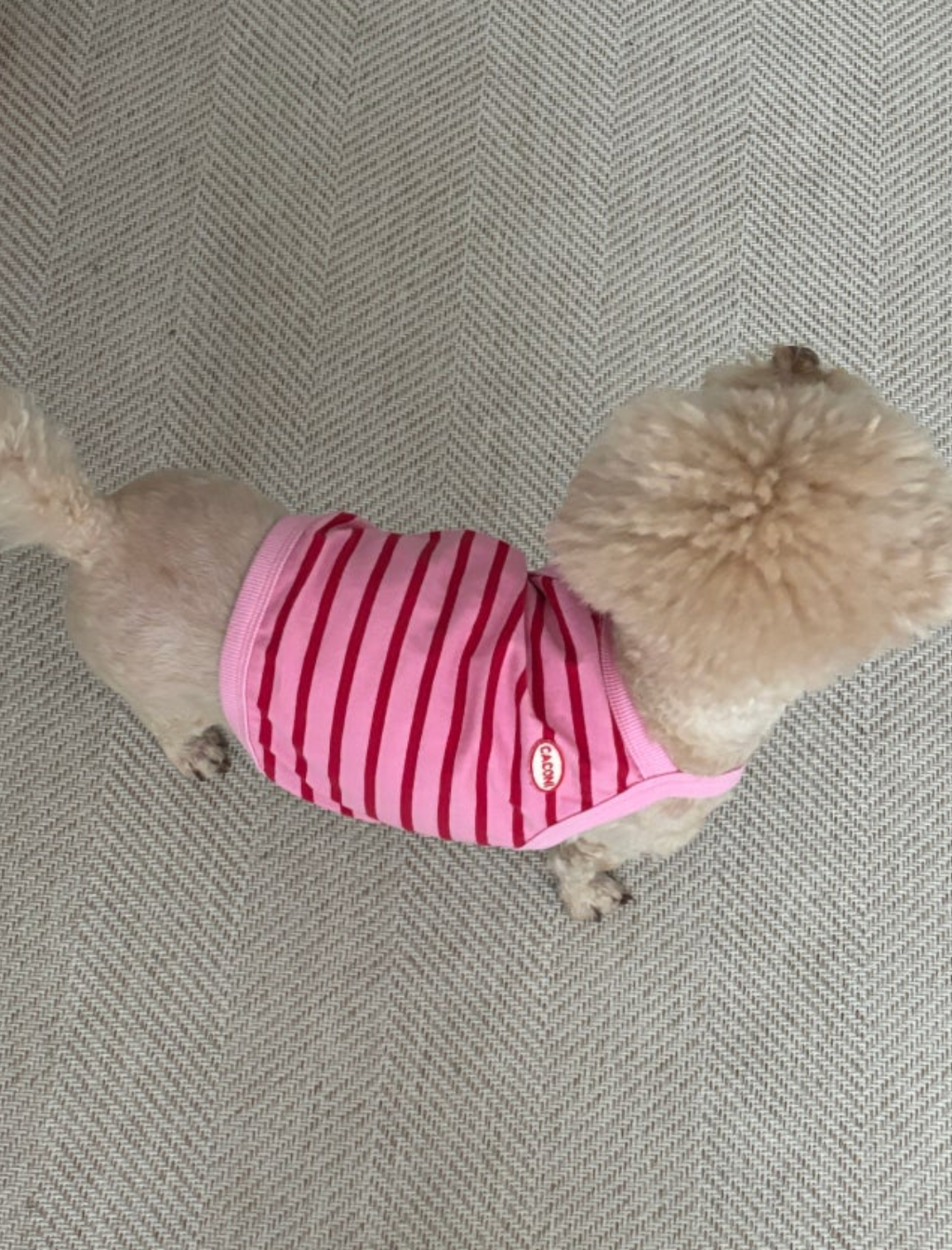 66CE3685-B049-48E4-A0F4-3057806FD242