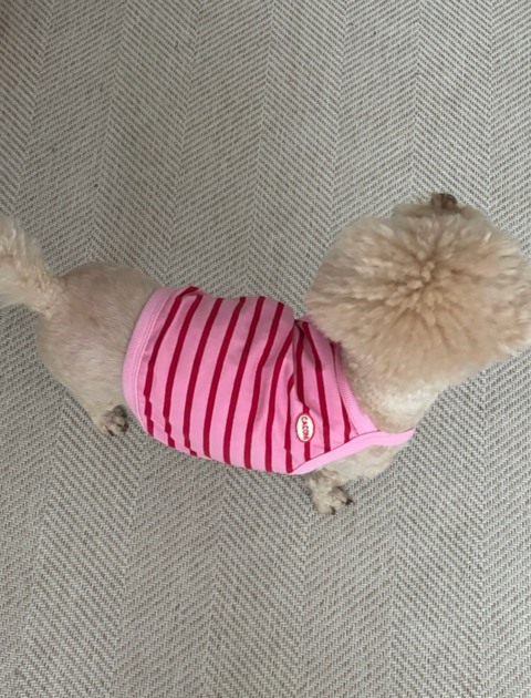 66CE3685-B049-48E4-A0F4-3057806FD242