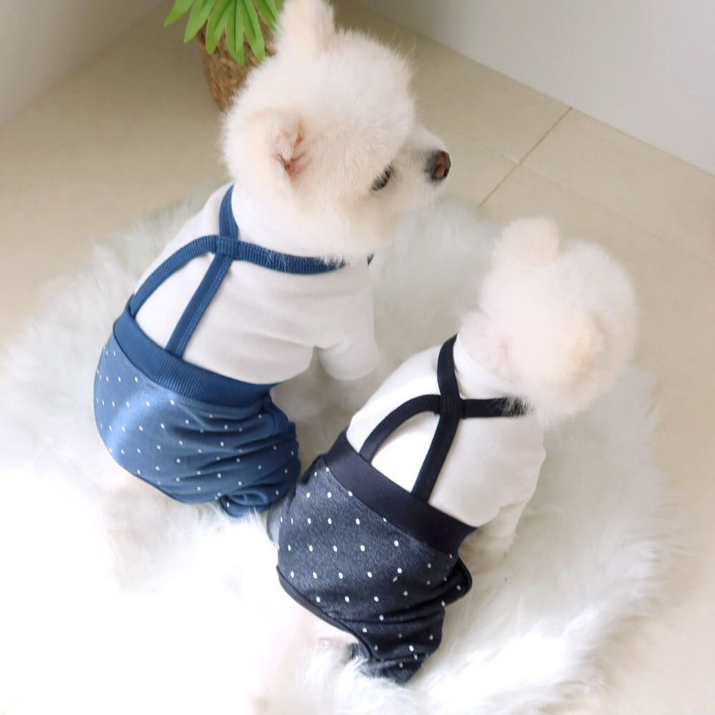 LINE_ALBUM_Honey dog 2_260226_35