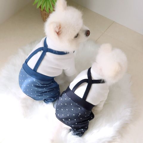 LINE_ALBUM_Honey dog 2_260226_35