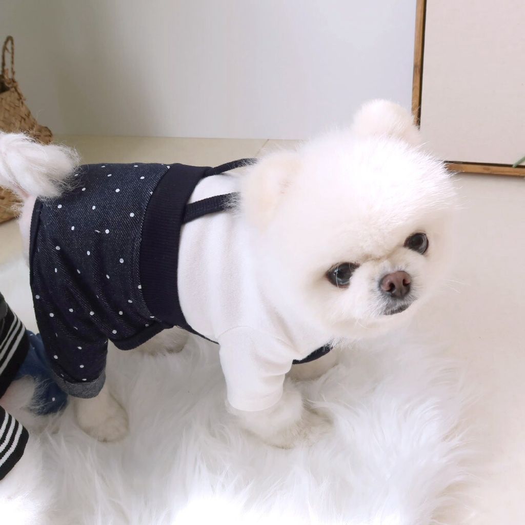 LINE_ALBUM_Honey dog 2_260226_33