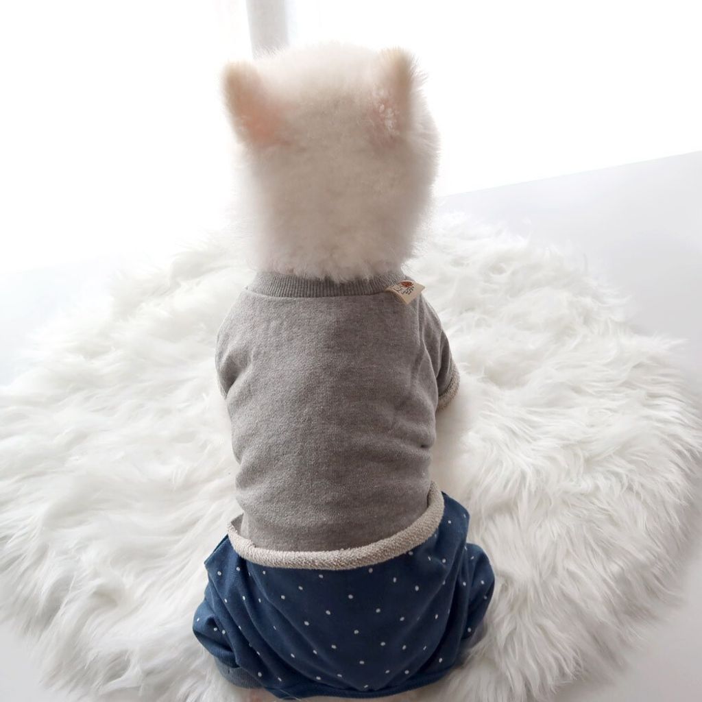 LINE_ALBUM_Honey dog 2_260226_41