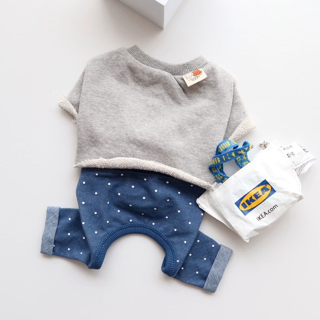 LINE_ALBUM_Honey dog 2_260226_42