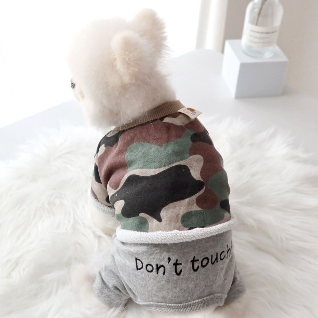 LINE_ALBUM_Honey dog 2_260226_14