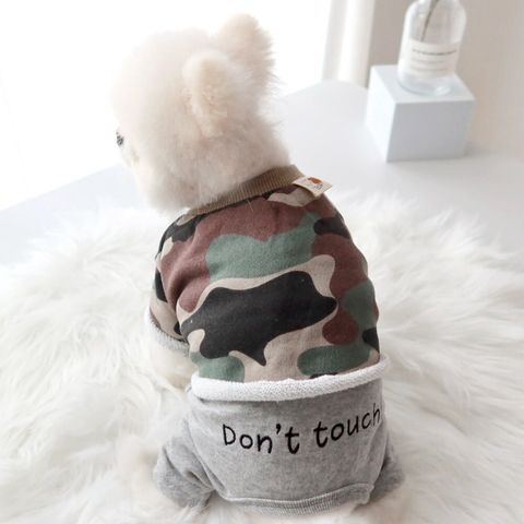 LINE_ALBUM_Honey dog 2_260226_14