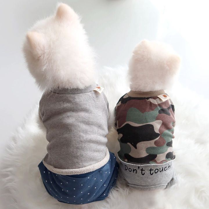 LINE_ALBUM_Honey dog 2_260226_11