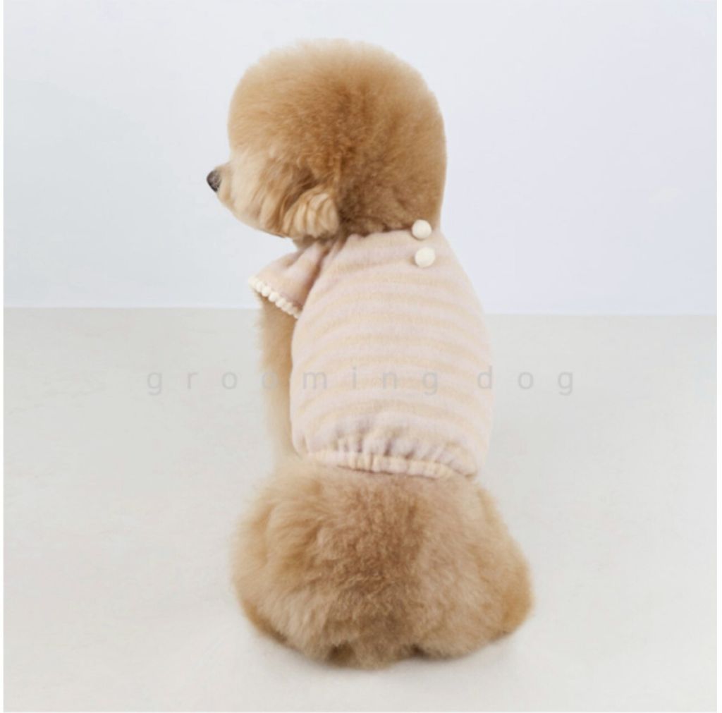 LINE_ALBUM_Grooming dog_260226_14