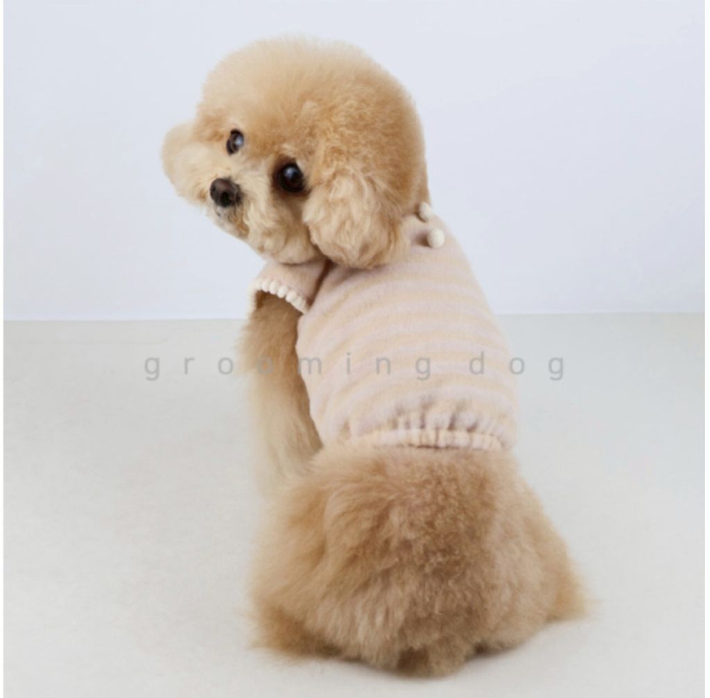 LINE_ALBUM_Grooming dog_260226_13