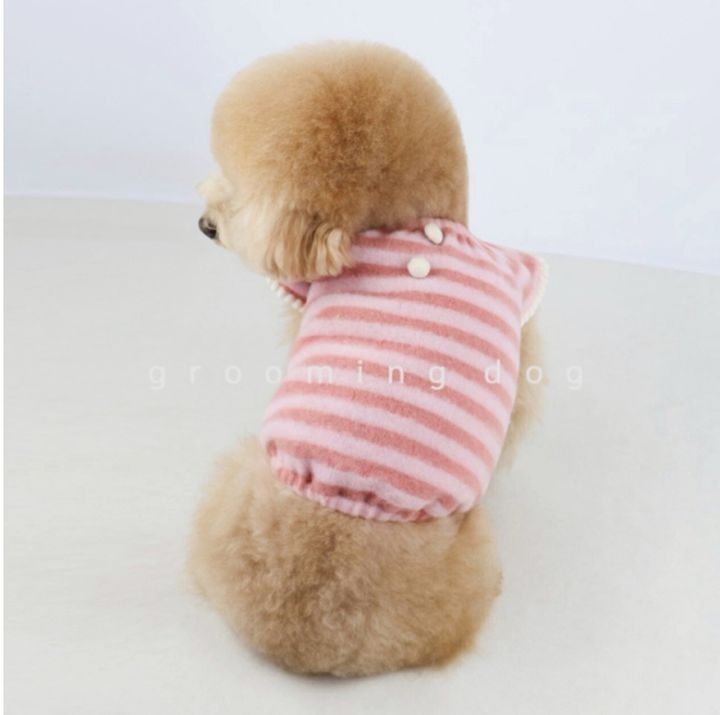 LINE_ALBUM_Grooming dog_260226_15