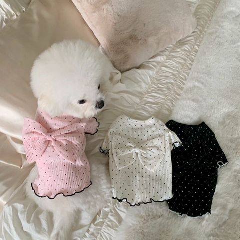 LINE_ALBUM_Doggyholic 4_260226_15