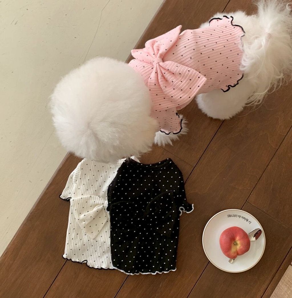 LINE_ALBUM_Doggyholic 4_260226_17