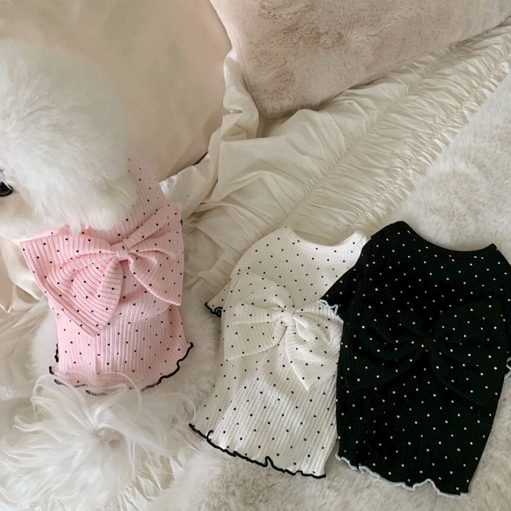 LINE_ALBUM_Doggyholic 4_260226_30