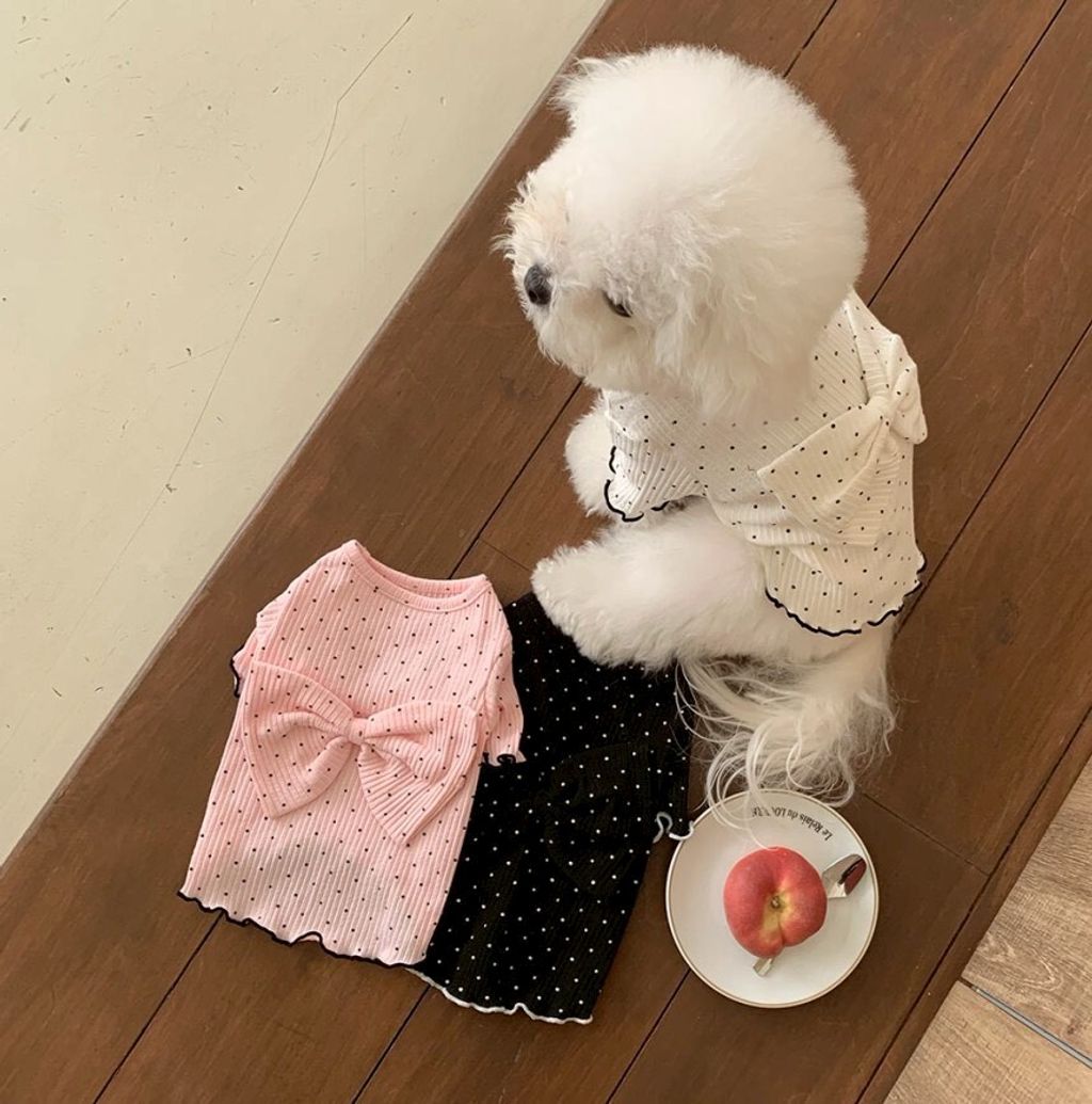 LINE_ALBUM_Doggyholic 4_260226_25