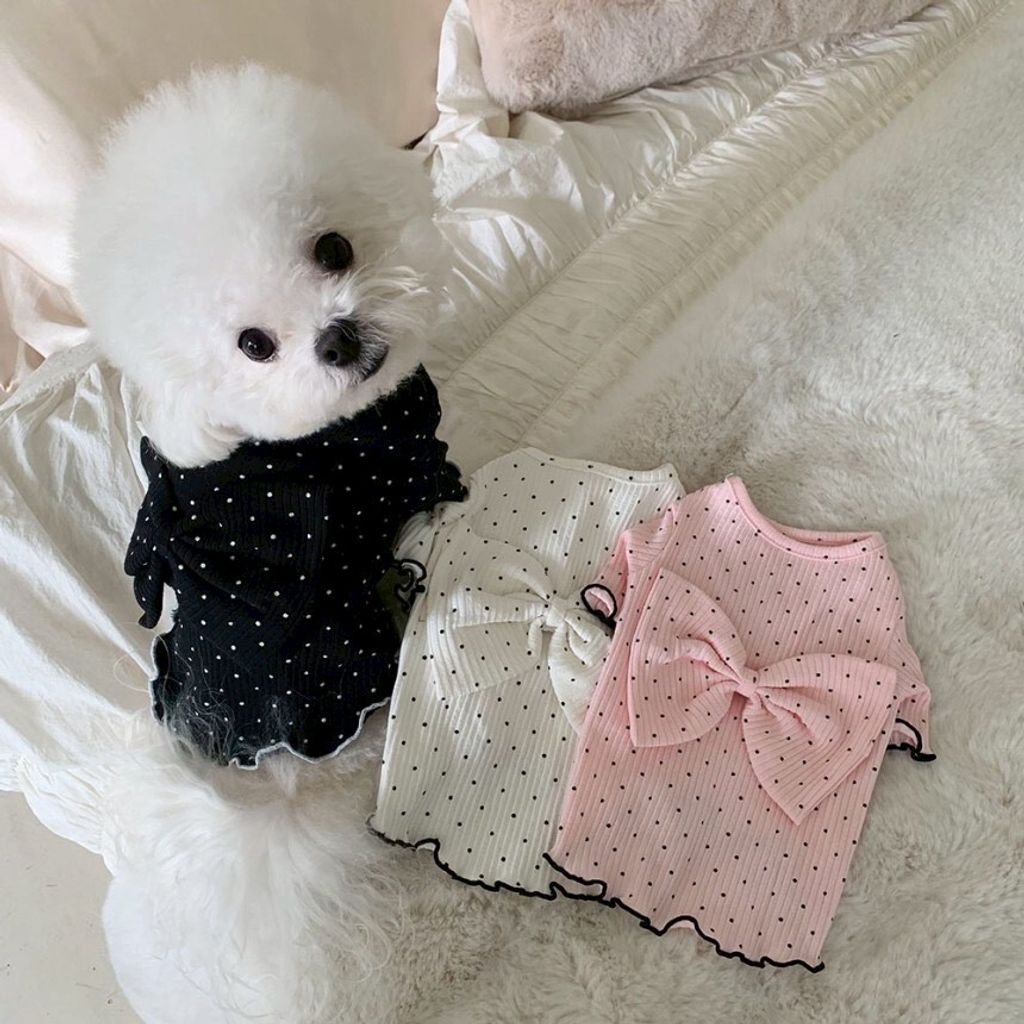 LINE_ALBUM_Doggyholic 4_260226_16