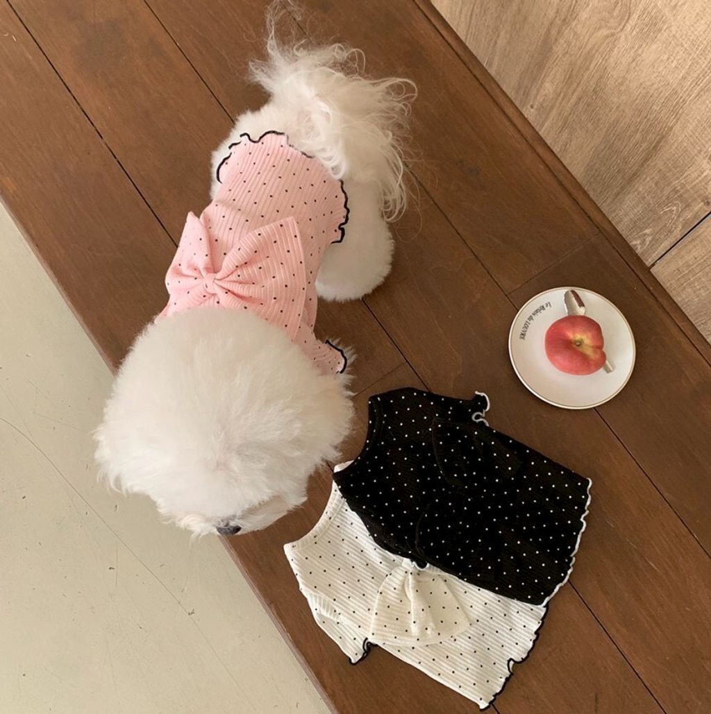 LINE_ALBUM_Doggyholic 4_260226_31