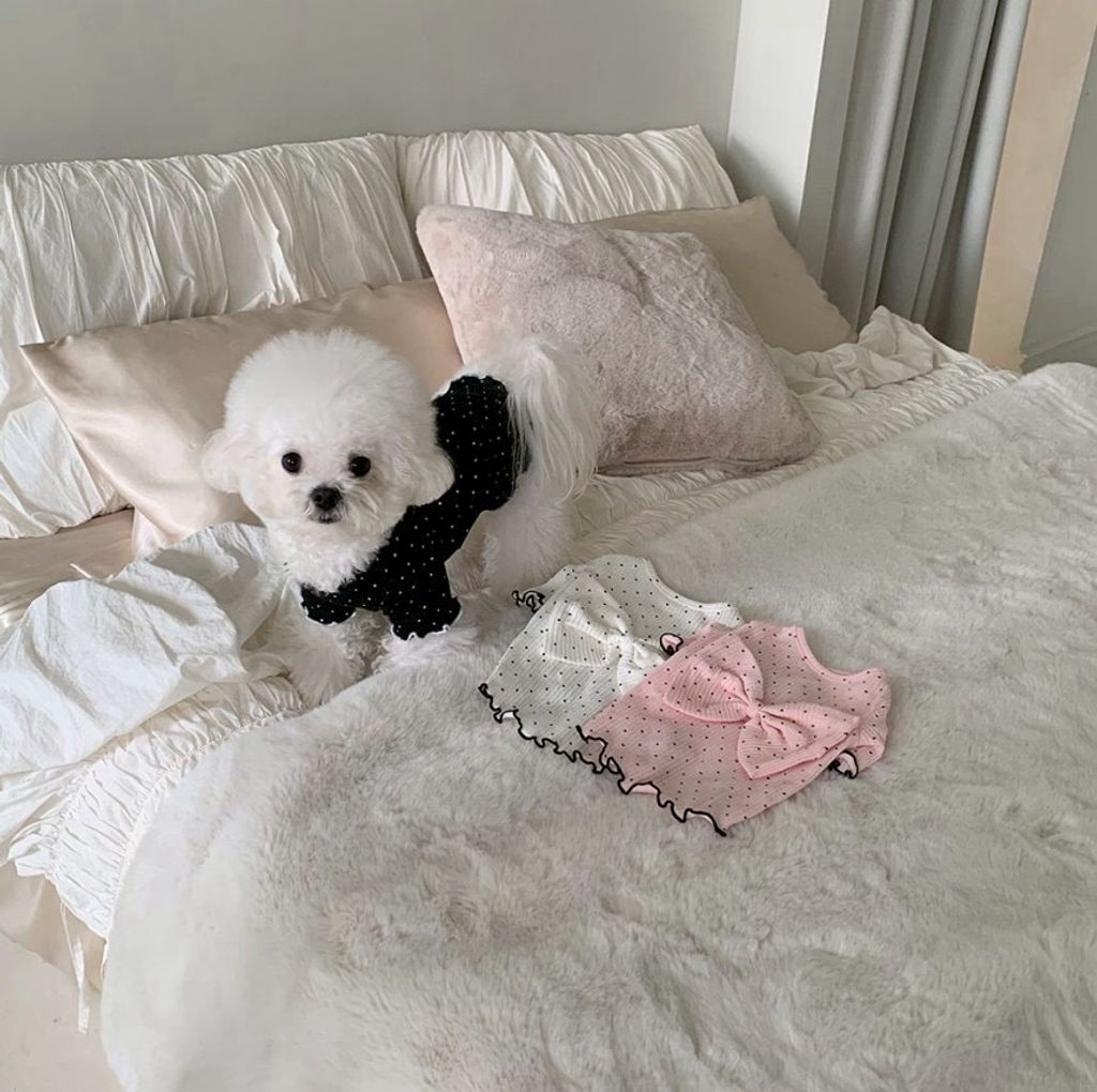 LINE_ALBUM_Doggyholic 4_260226_37