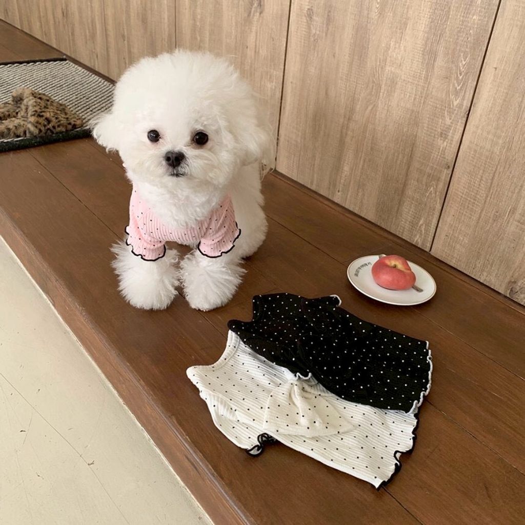 LINE_ALBUM_Doggyholic 4_260226_24