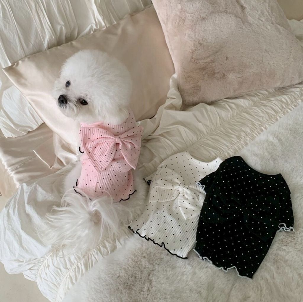 LINE_ALBUM_Doggyholic 4_260226_33