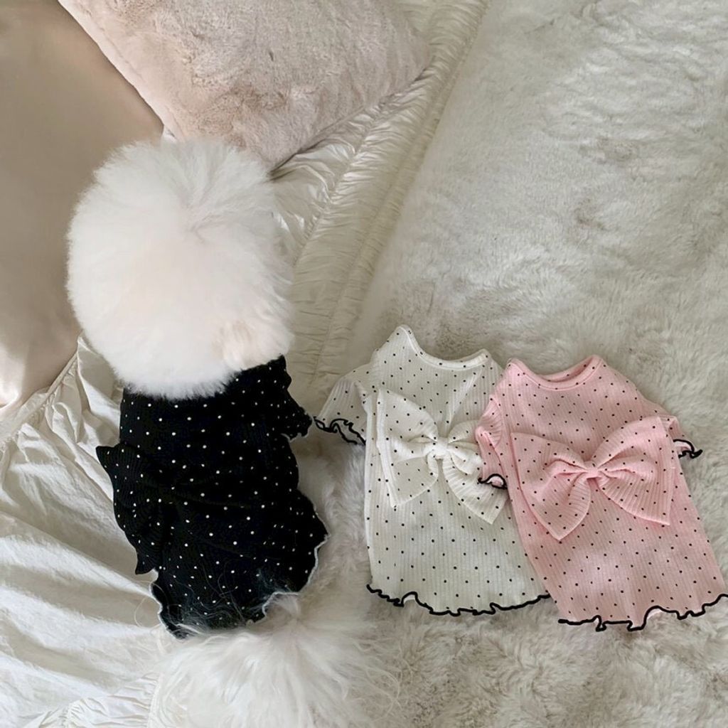 LINE_ALBUM_Doggyholic 4_260226_38