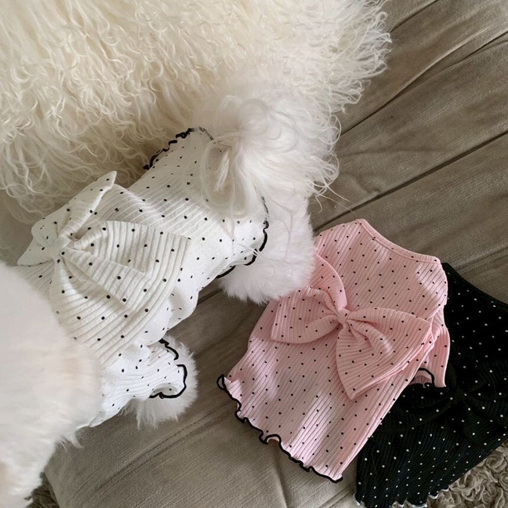 LINE_ALBUM_Doggyholic 4_260226_34