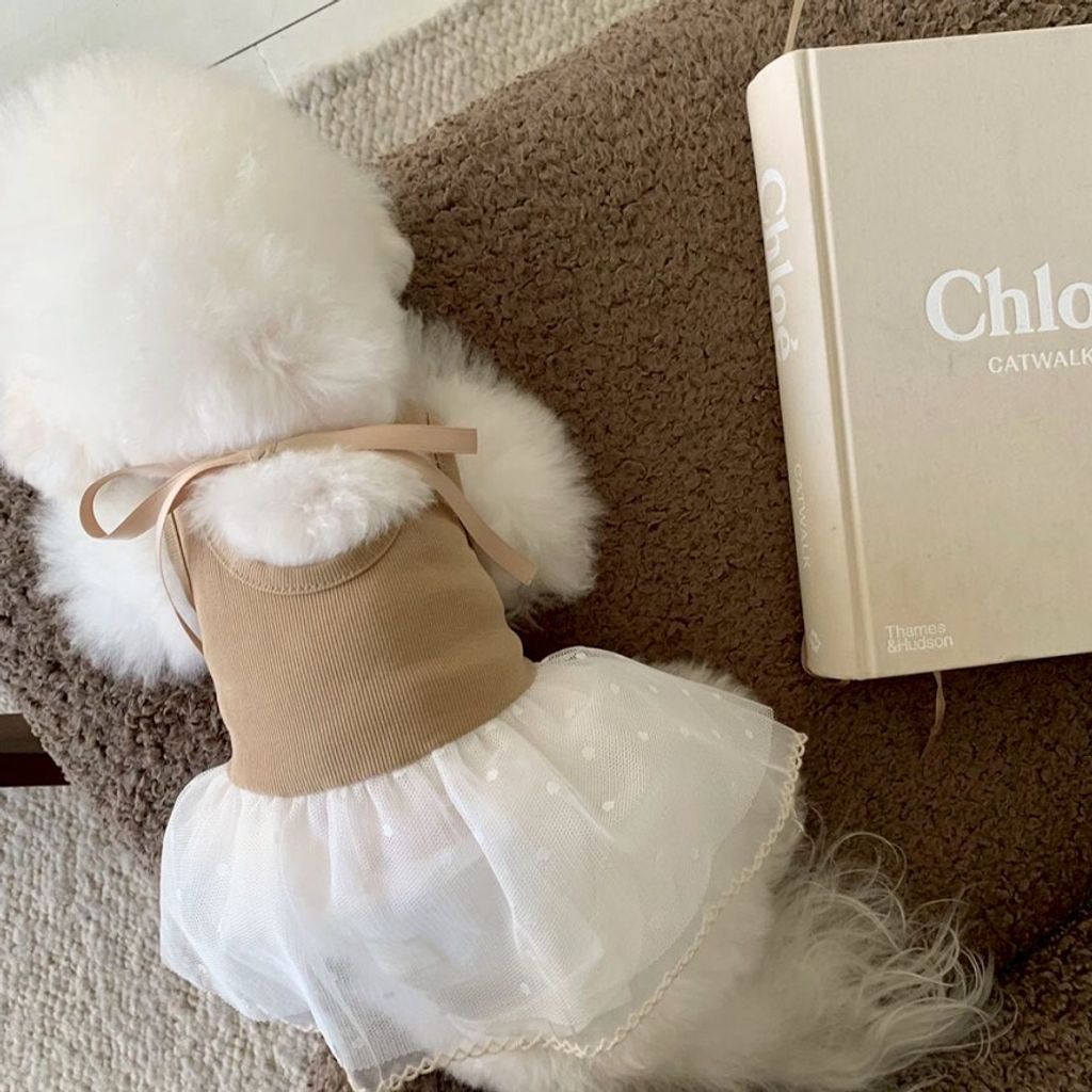 LINE_ALBUM_Doggyholic 4_260226_58