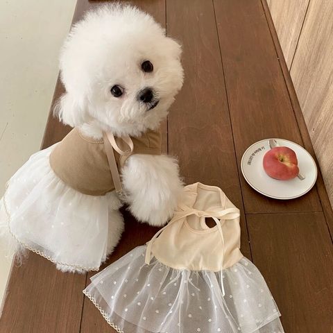 LINE_ALBUM_Doggyholic 4_260226_59