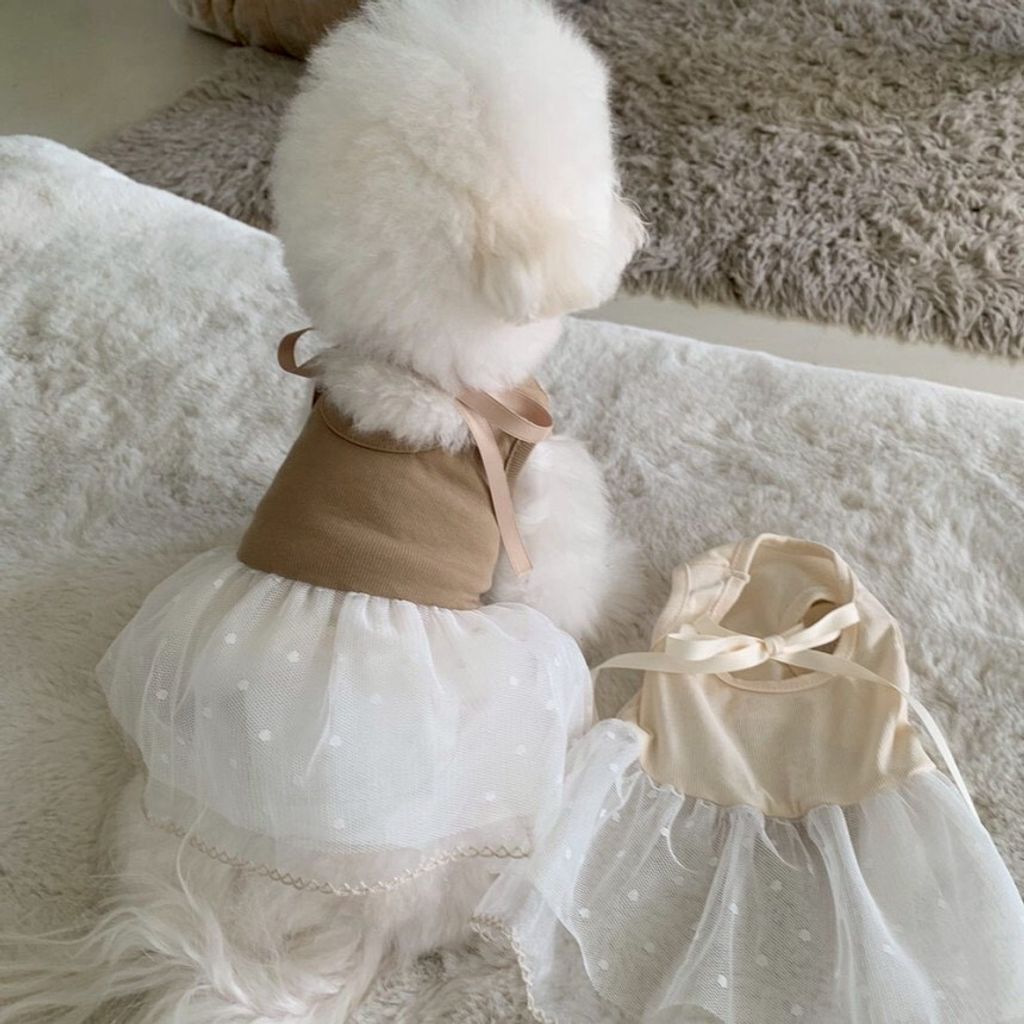 LINE_ALBUM_Doggyholic 4_260226_67