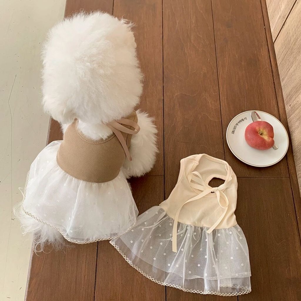 LINE_ALBUM_Doggyholic 4_260226_63