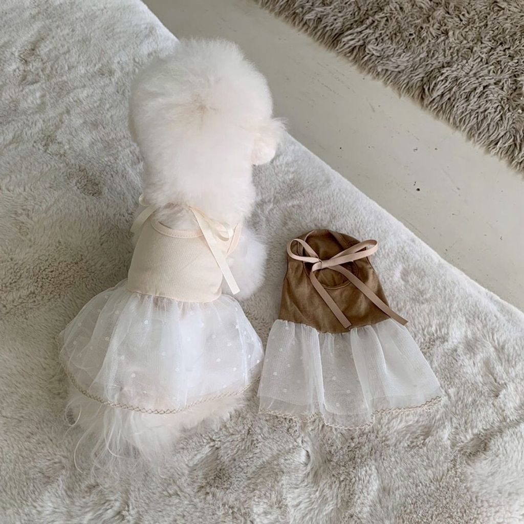 LINE_ALBUM_Doggyholic 4_260226_60