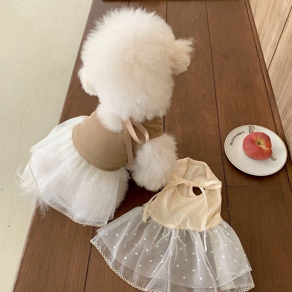 LINE_ALBUM_Doggyholic 4_260226_70