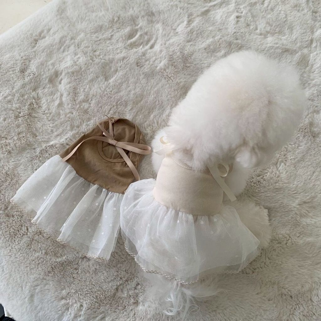 LINE_ALBUM_Doggyholic 4_260226_61