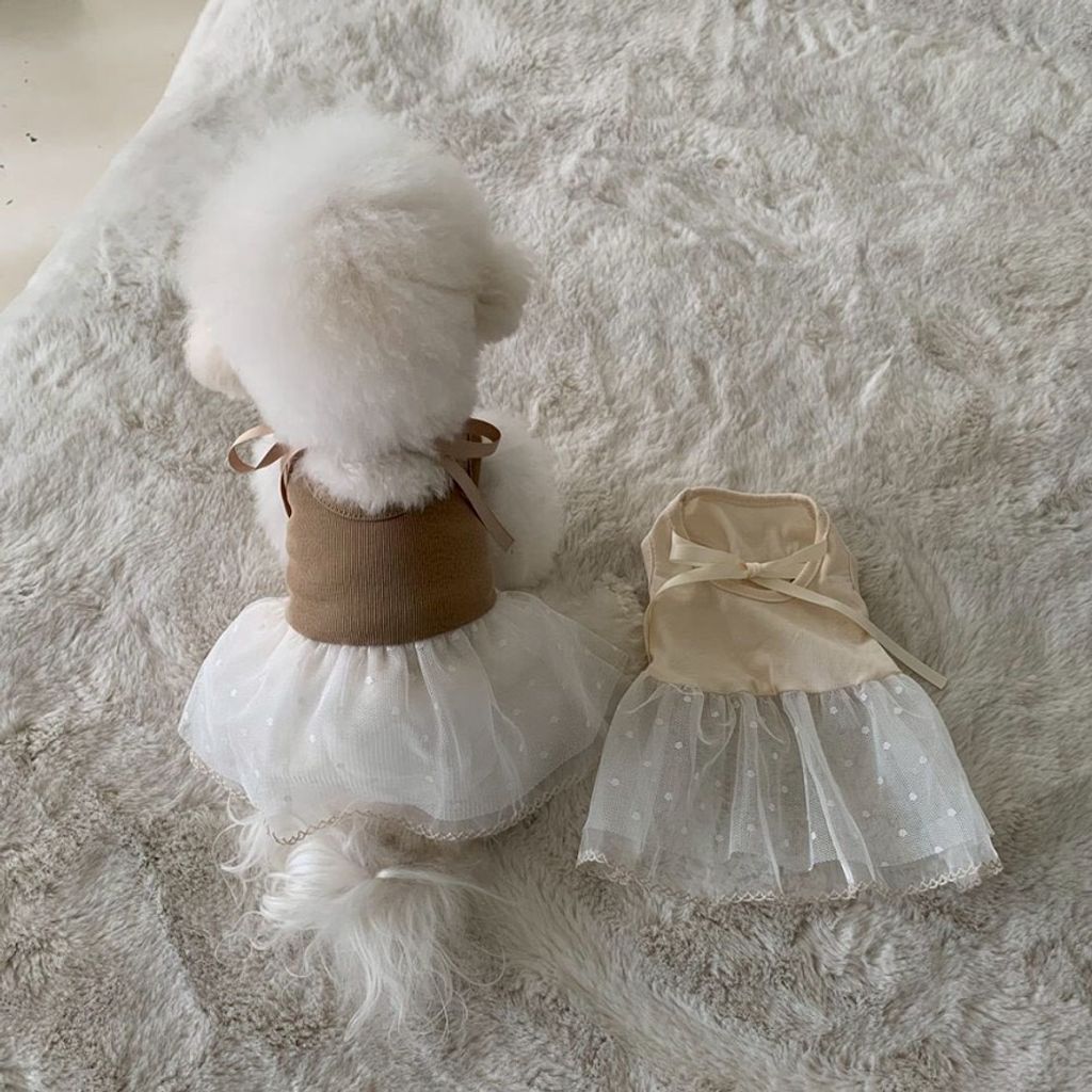 LINE_ALBUM_Doggyholic 4_260226_54