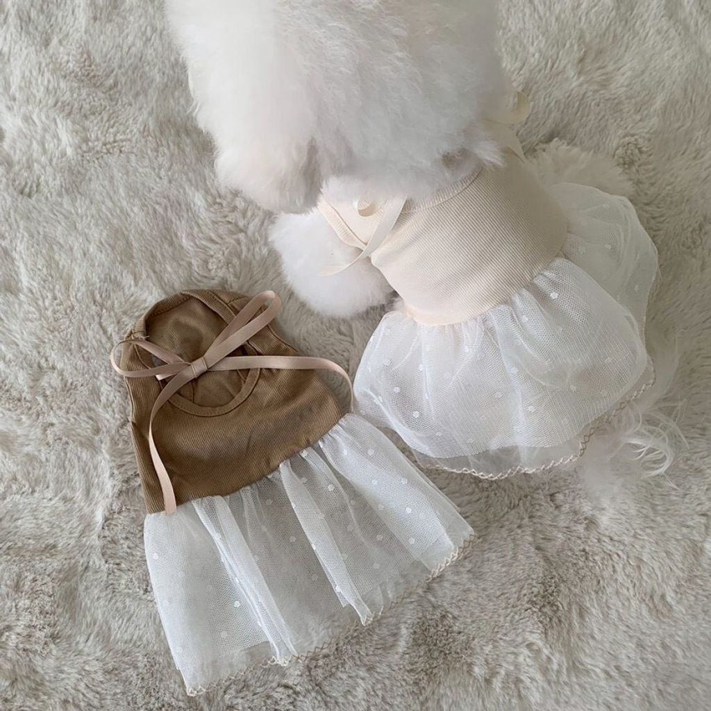 LINE_ALBUM_Doggyholic 4_260226_62