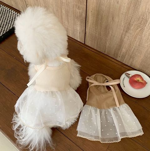 LINE_ALBUM_Doggyholic 4_260226_64