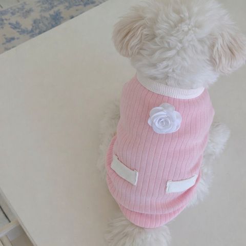 LINE_ALBUM_Doggyholic 4_260226_83