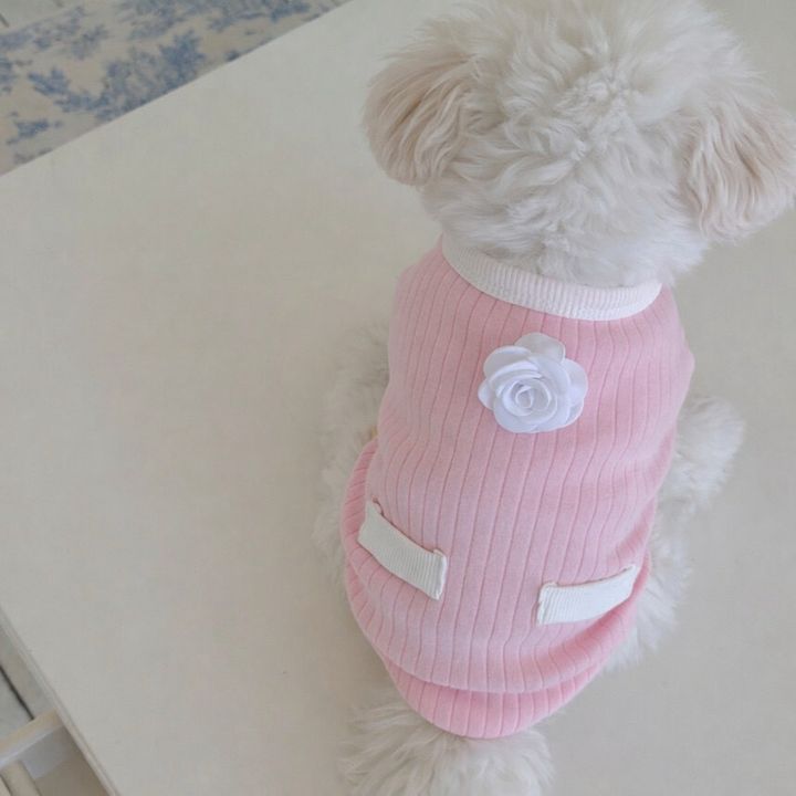 LINE_ALBUM_Doggyholic 4_260226_83