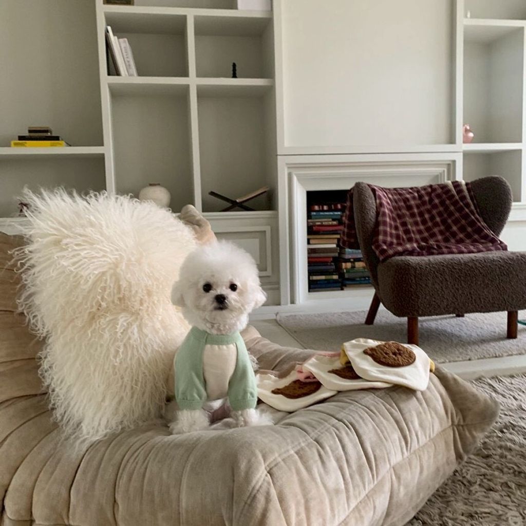 LINE_ALBUM_Doggyholic 4_260227_18