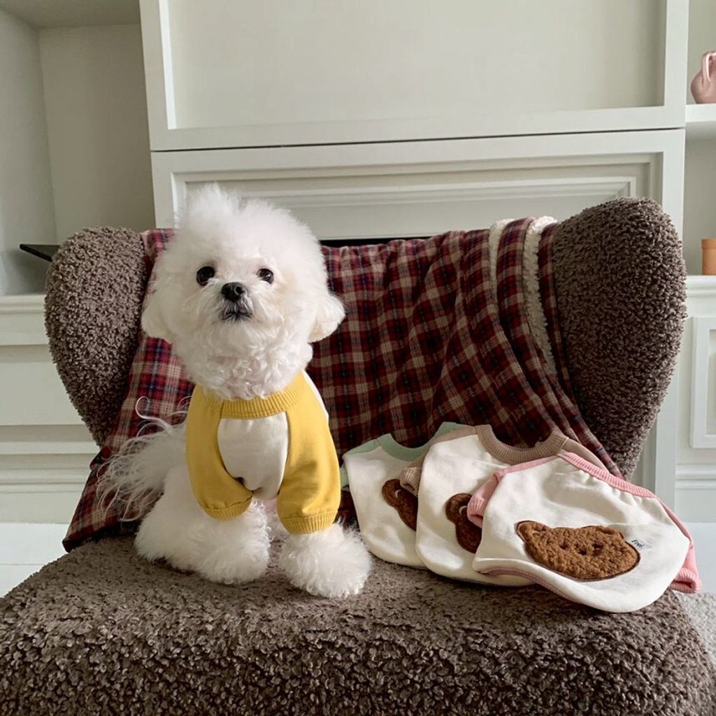 LINE_ALBUM_Doggyholic 4_260227_21