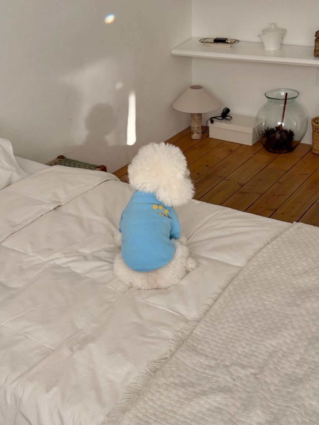 LINE_ALBUM_Doggyholic 4_260227_69