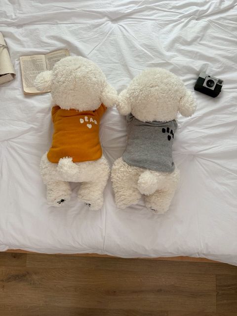 LINE_ALBUM_Doggyholic 4_260227_78