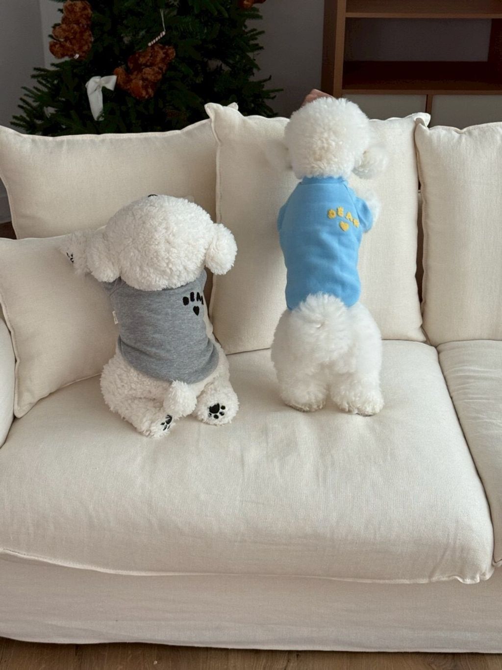 LINE_ALBUM_Doggyholic 4_260227_74