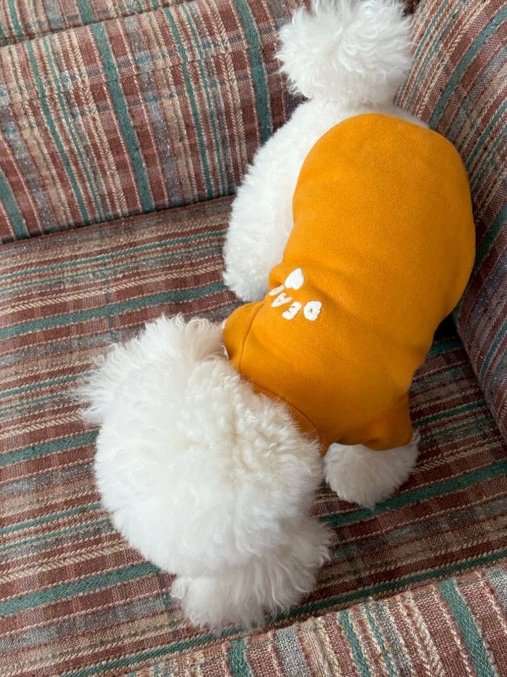 LINE_ALBUM_Doggyholic 4_260227_75