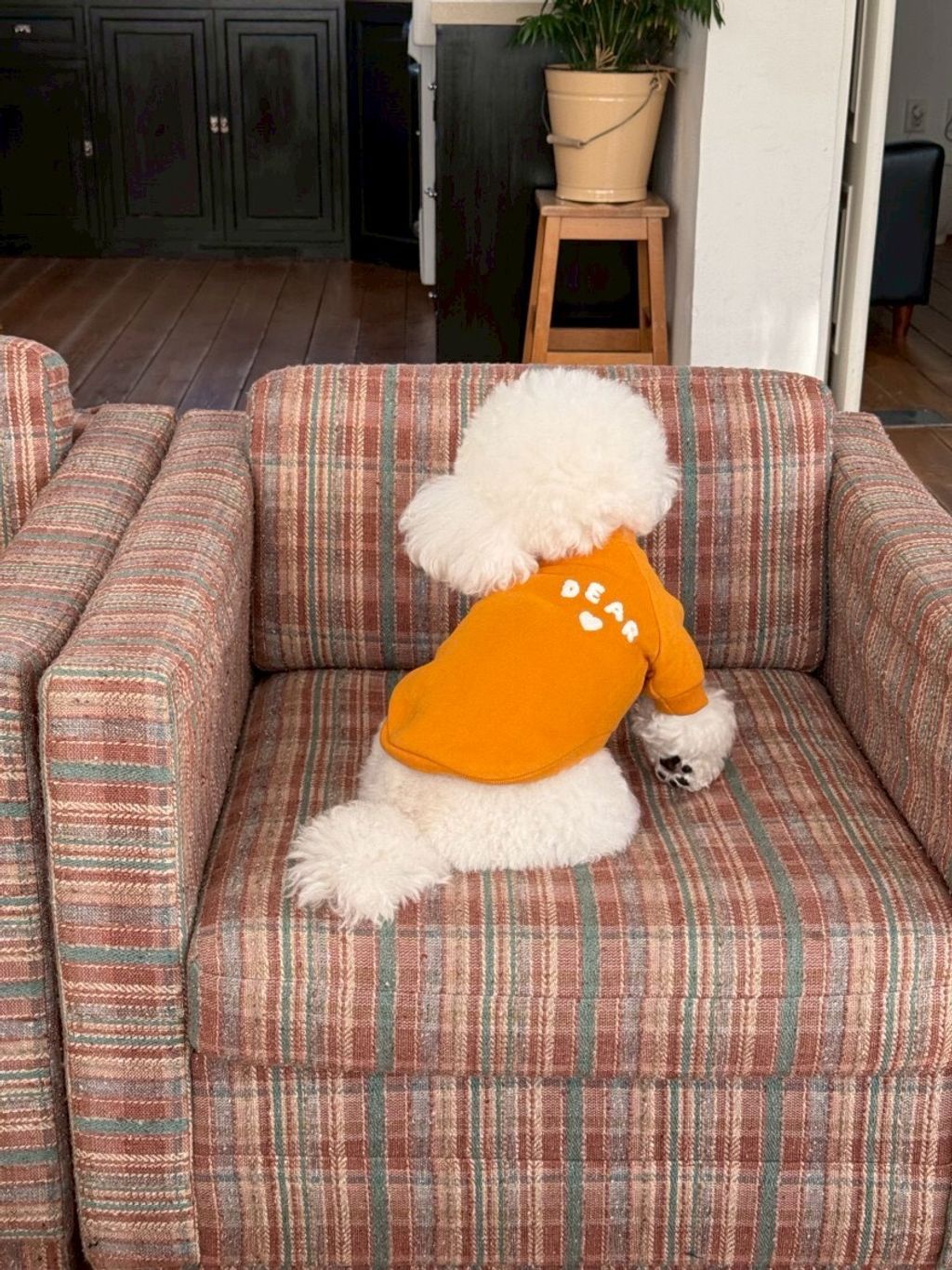 LINE_ALBUM_Doggyholic 4_260227_70