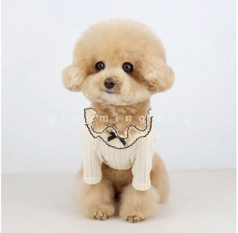 LINE_ALBUM_Groomingdog 2_260227_7