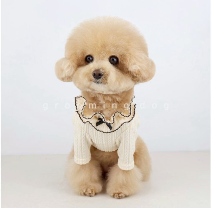 LINE_ALBUM_Groomingdog 2_260227_7
