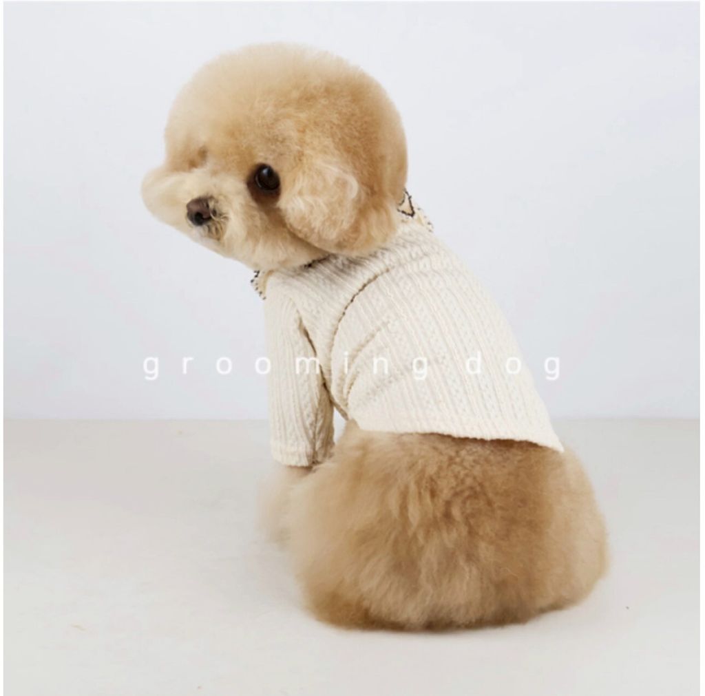 LINE_ALBUM_Groomingdog 2_260227_9