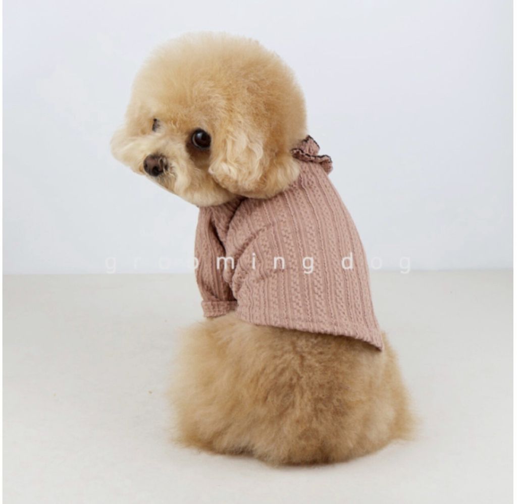 LINE_ALBUM_Groomingdog 2_260227_14